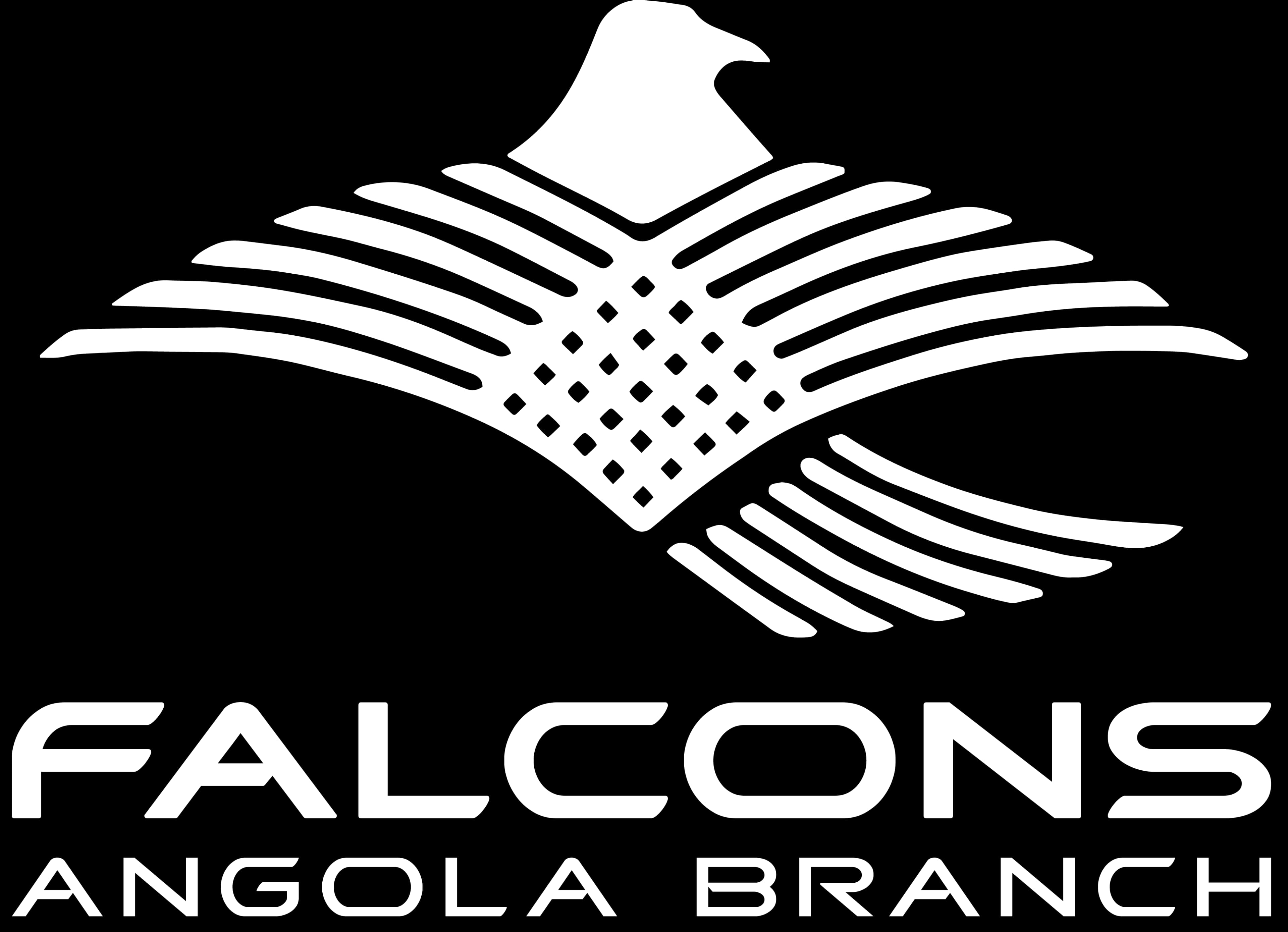Falcons Angola Branch Logo
